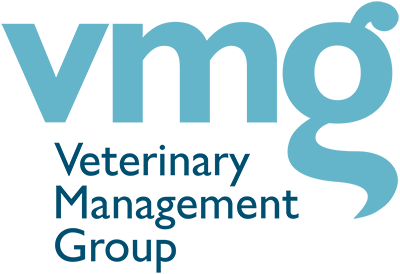VMG Primary RGB